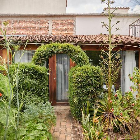Sereno Hotel San Cristóbal de Las Casas Екстериор снимка