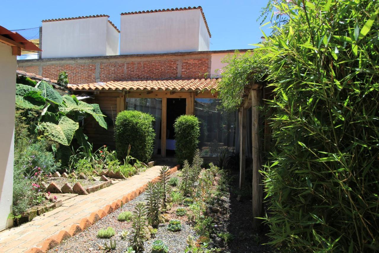Sereno Hotel San Cristóbal de Las Casas Екстериор снимка