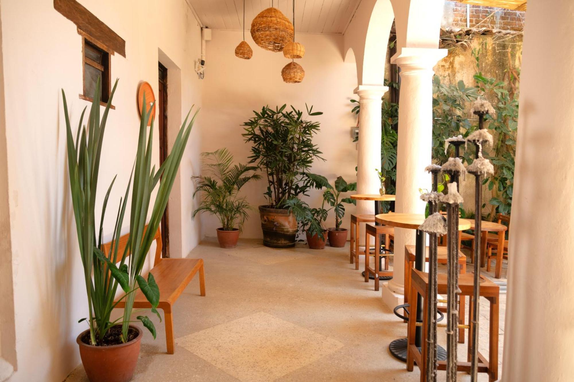 Sereno Hotel San Cristóbal de Las Casas Екстериор снимка
