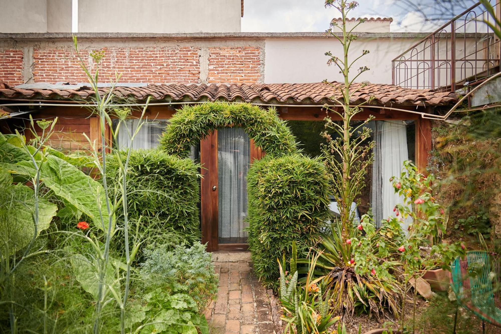 Sereno Hotel San Cristóbal de Las Casas Екстериор снимка
